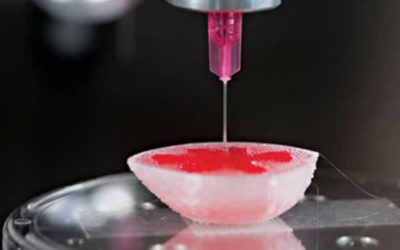 Bio-impression 3D : Poiétis et l’Université de Bordeaux s’allient à Prometheus