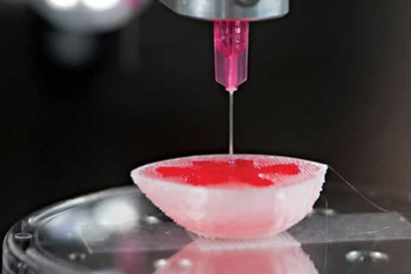 Bio-impression 3D : Poiétis et l’Université de Bordeaux s’allient à Prometheus