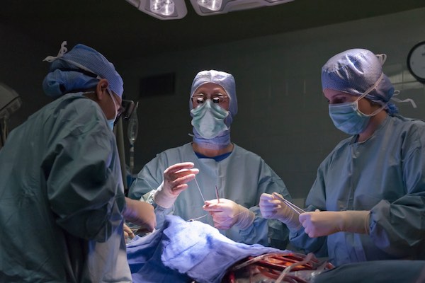 Impression 3D : une valve cardiaque imprimée en 3D à l’aide de collagène