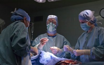 Impression 3D : une valve cardiaque imprimée en 3D à l’aide de collagène