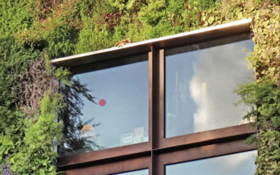 Des murs végétaux construits via l’impression 3D